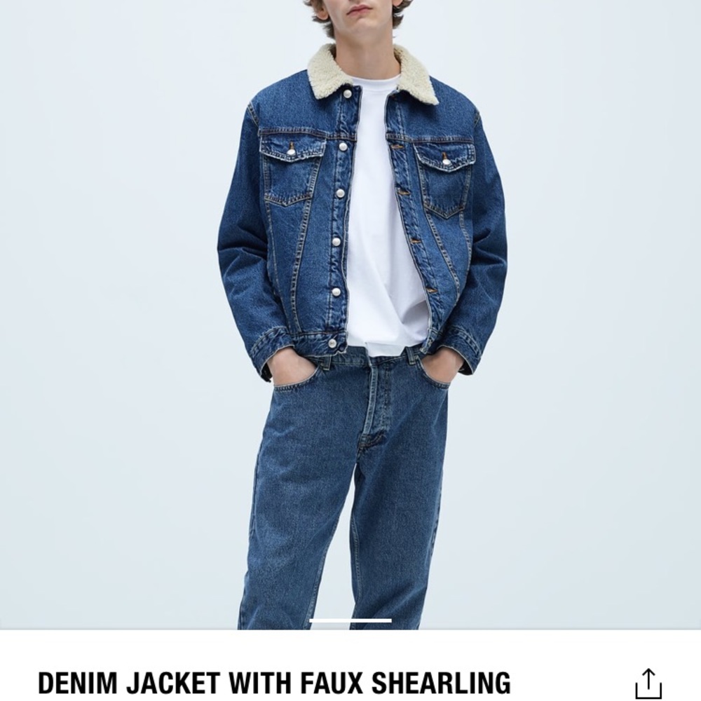 Zara Denim Jacket